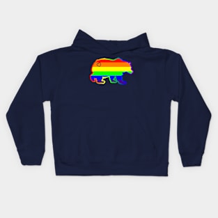 Gay Fathers And Mothers Day LGBTQ Rainbow Bear Heart Kids Hoodie